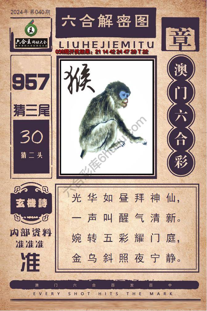 六合王六合解密