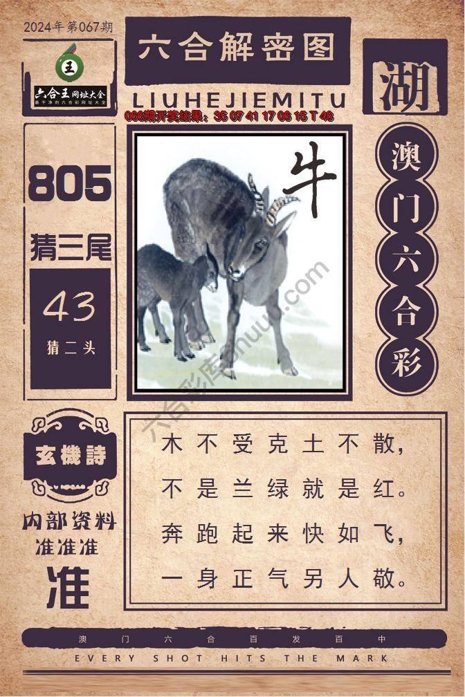 六合王六合解密