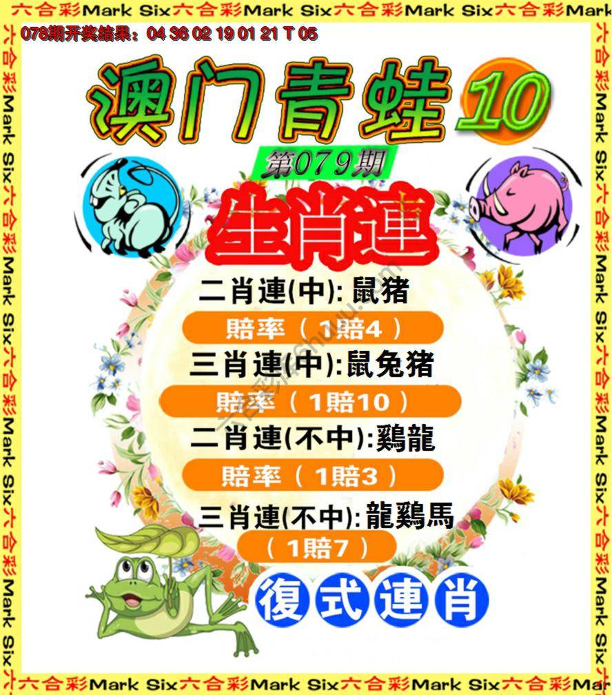 青蛙系列10