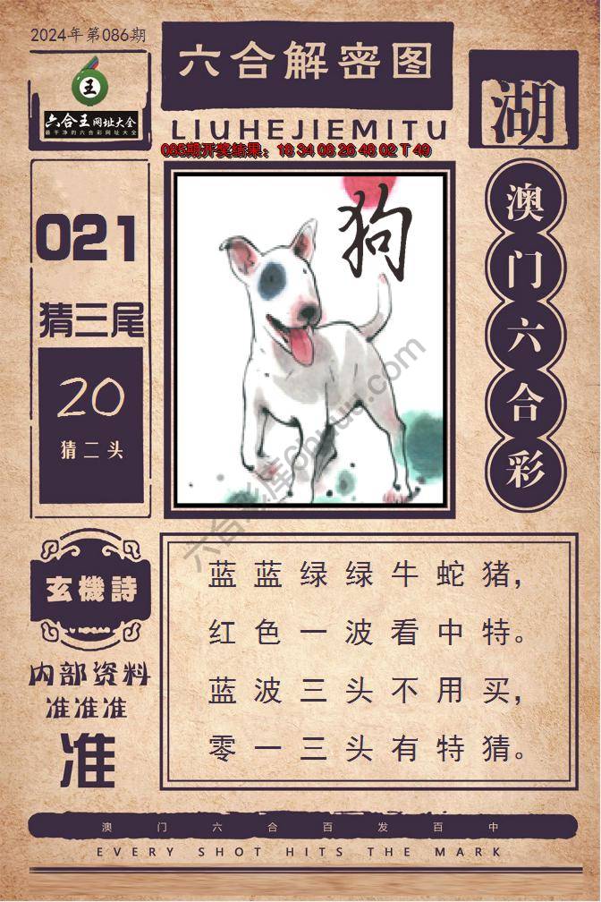 六合王六合解密