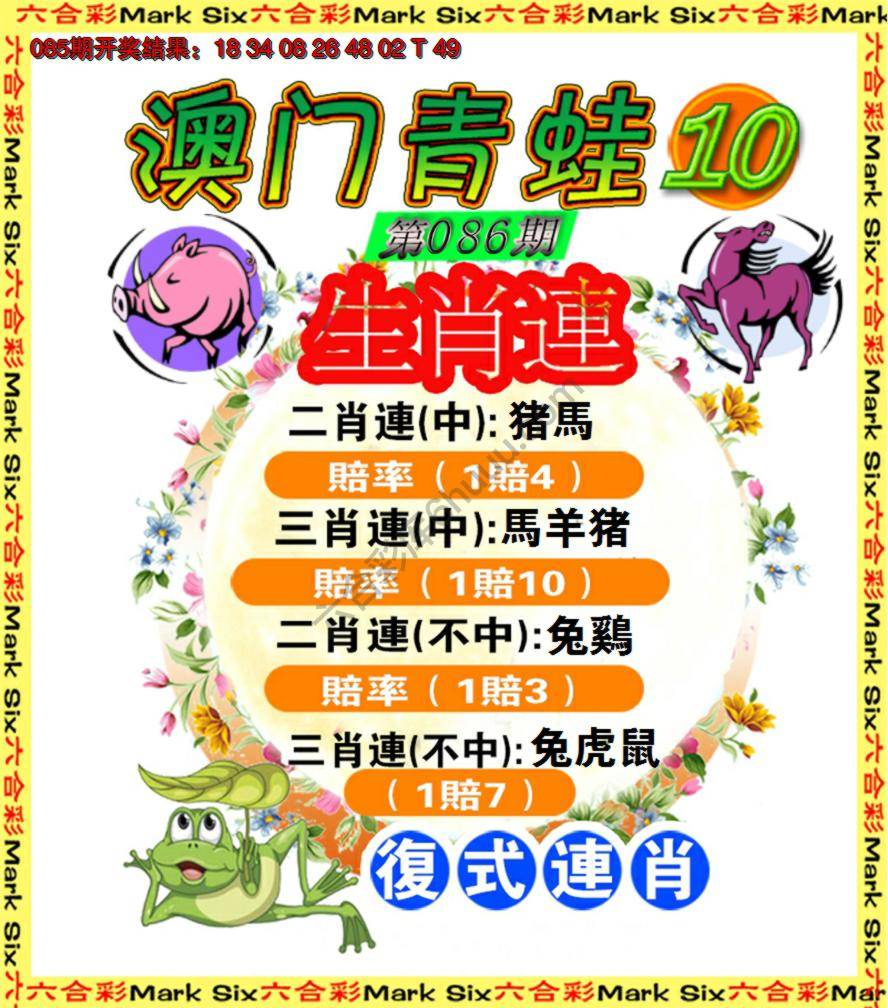 青蛙系列10