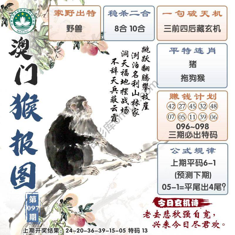 澳门猴报图