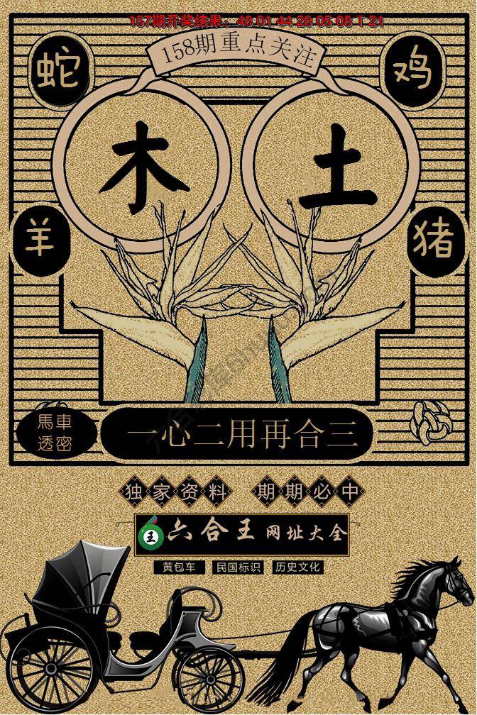 六合王马车透密