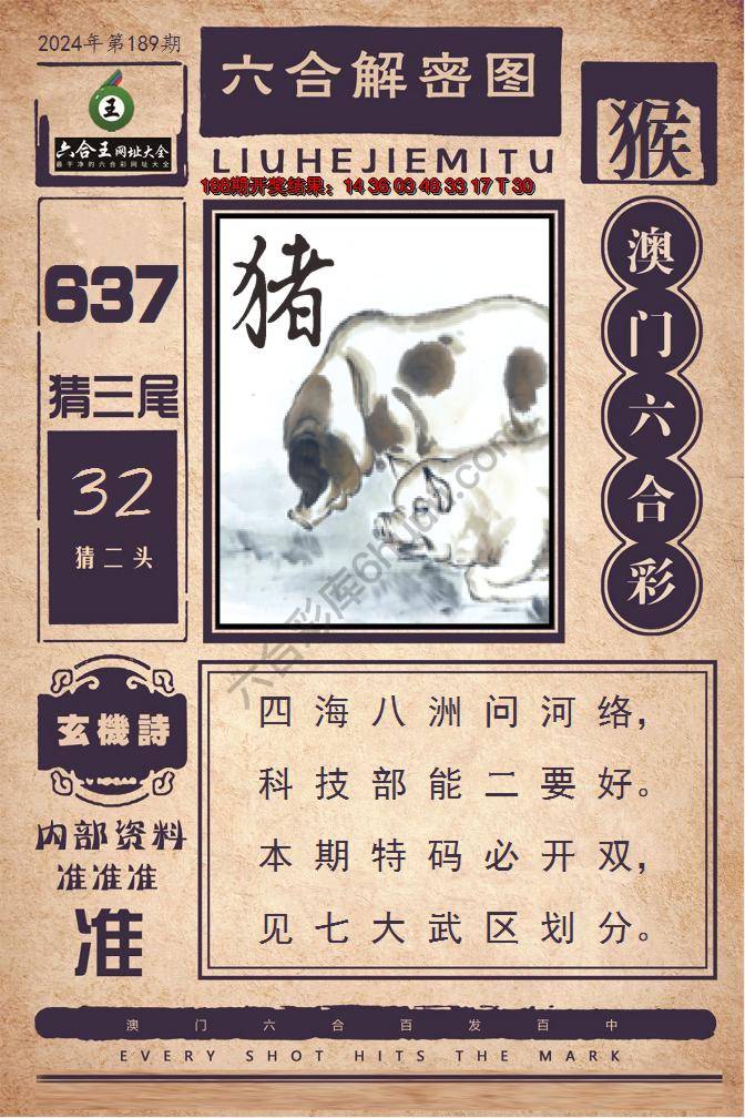 六合王六合解密