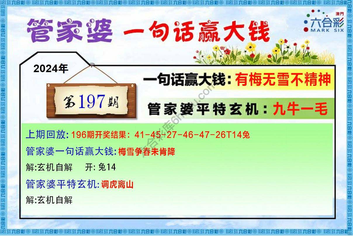 管家婆一句赢大钱