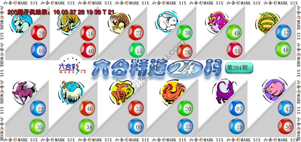 六合精选24码