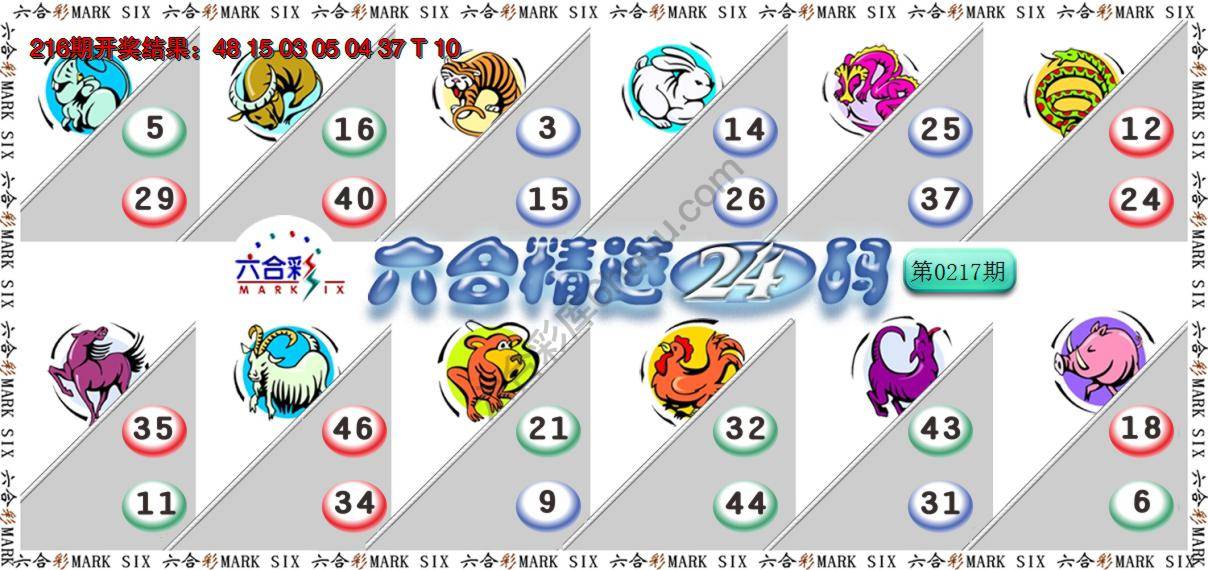 六合精选24码