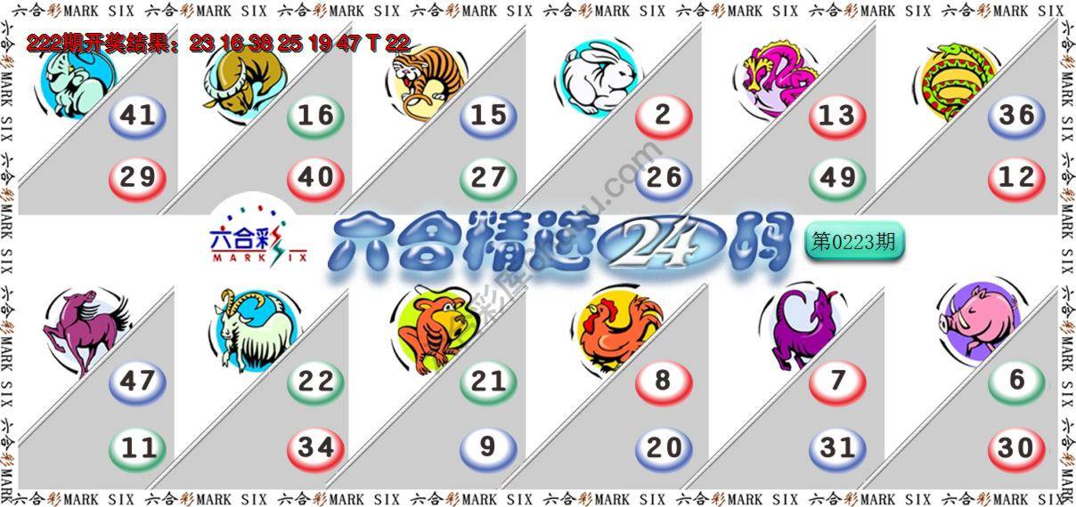 六合精选24码