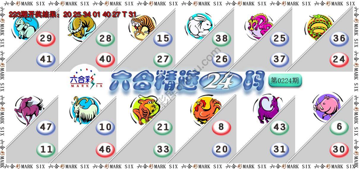 六合精选24码