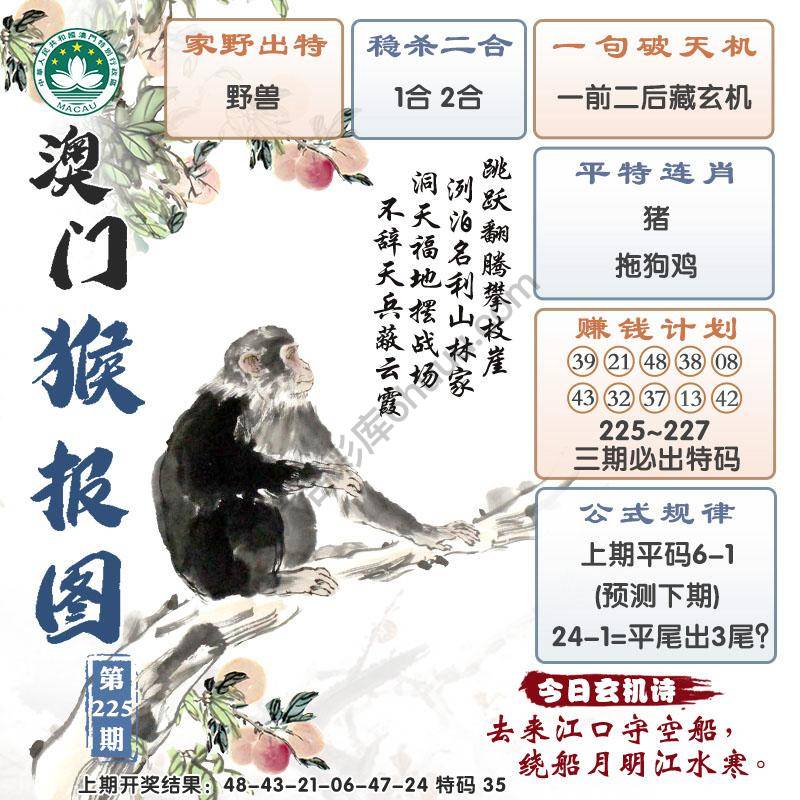 澳门猴报图