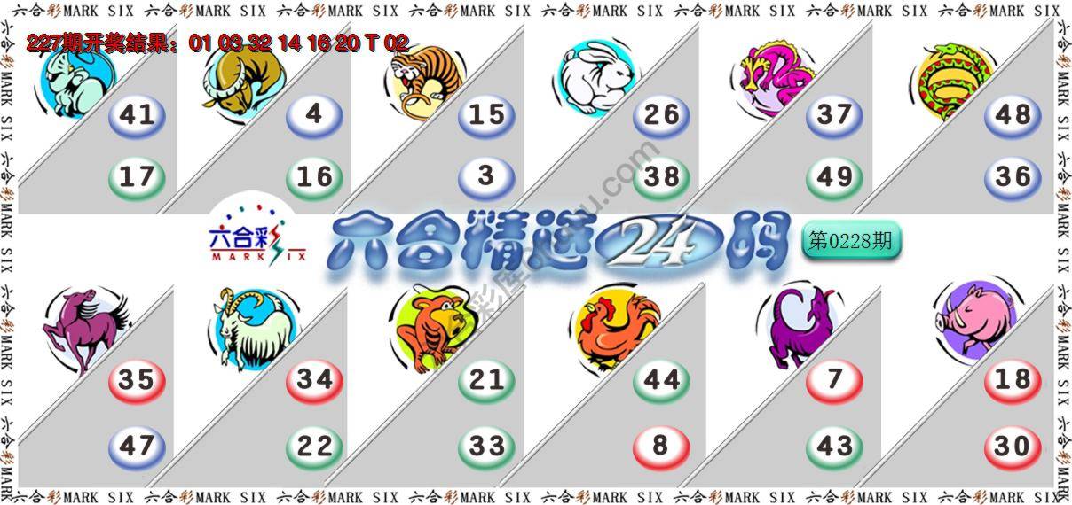 六合精选24码