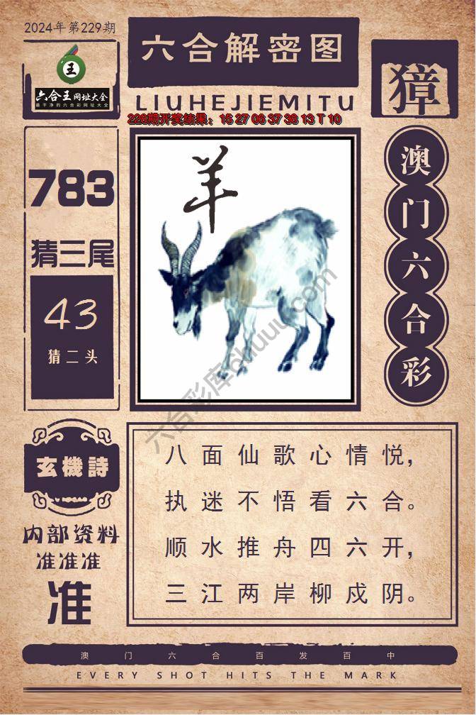 六合王六合解密