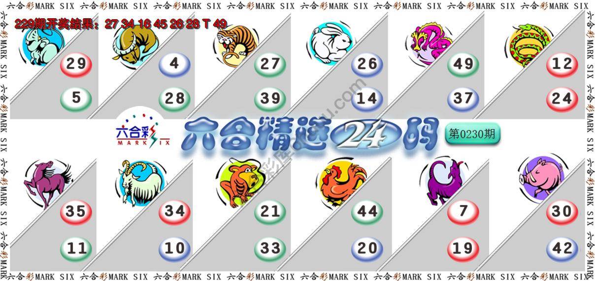 六合精选24码