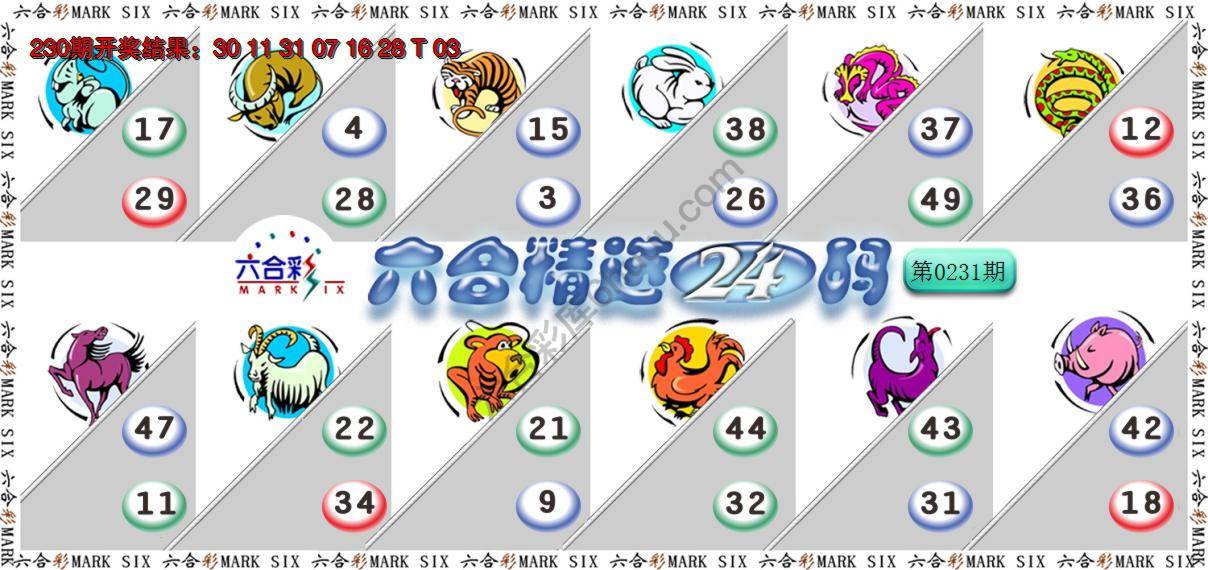 六合精选24码