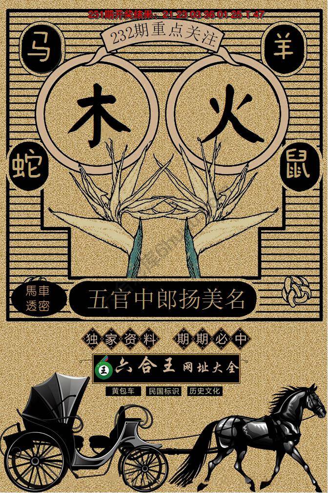 六合王马车透密