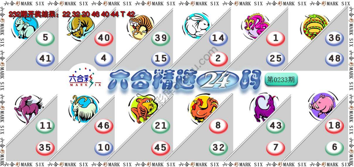 六合精选24码