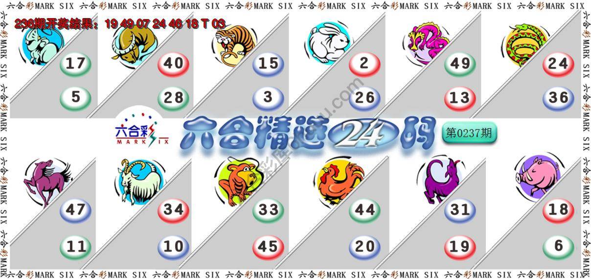 六合精选24码