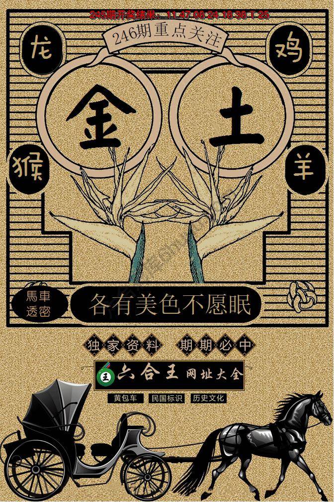 六合王马车透密