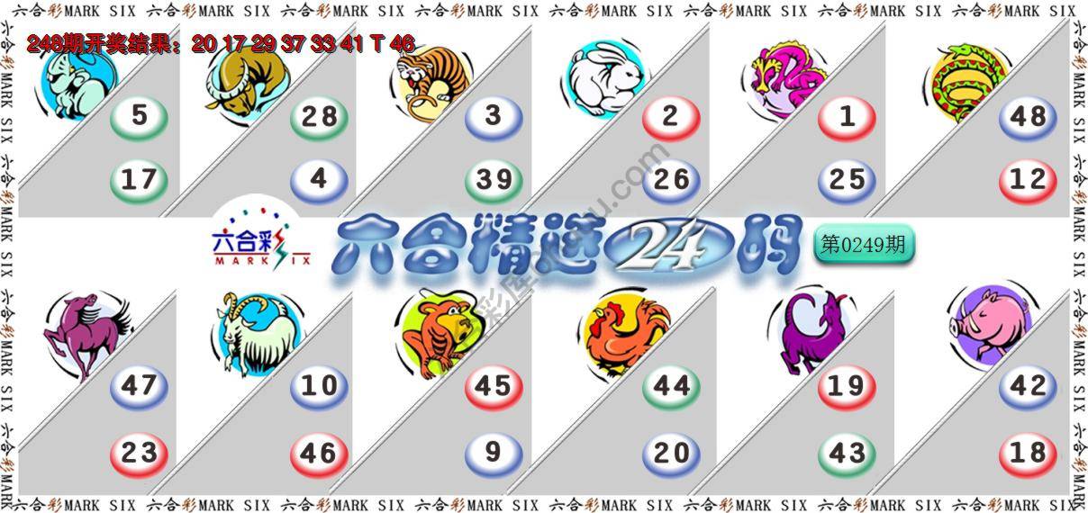 六合精选24码
