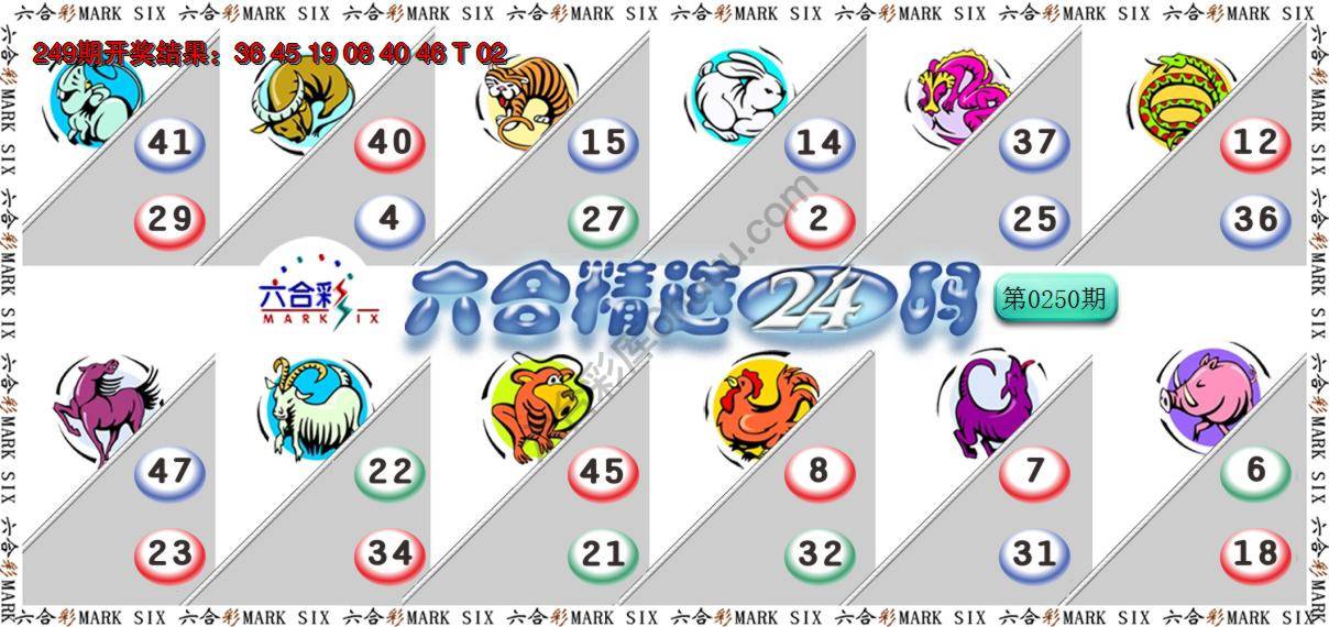 六合精选24码