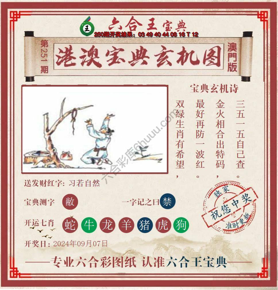 六合王港澳宝典玄机图