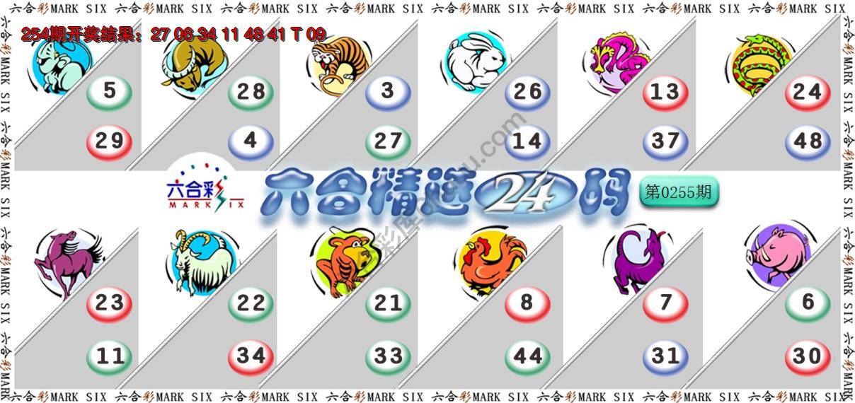 六合精选24码