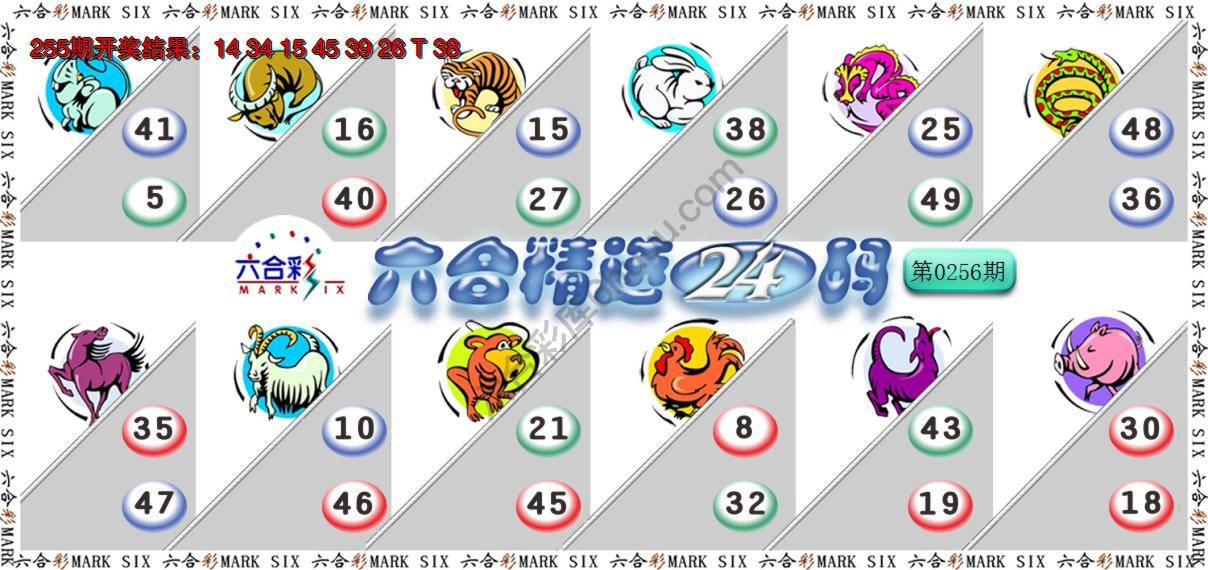 六合精选24码