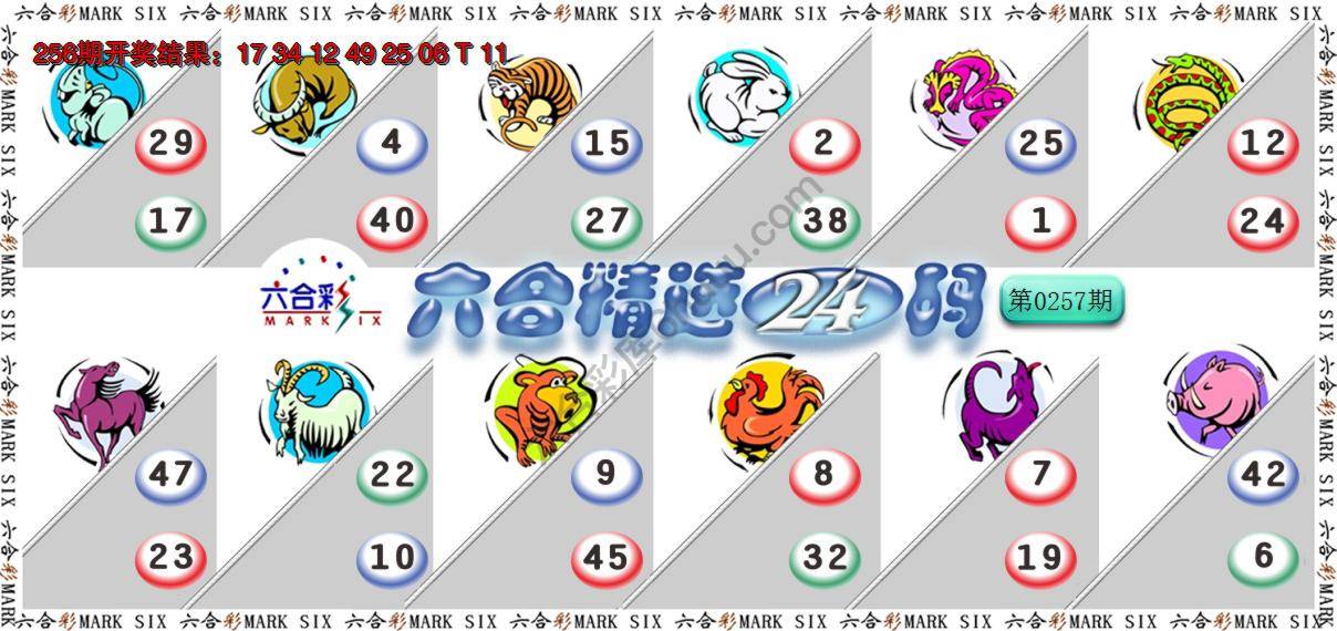 六合精选24码