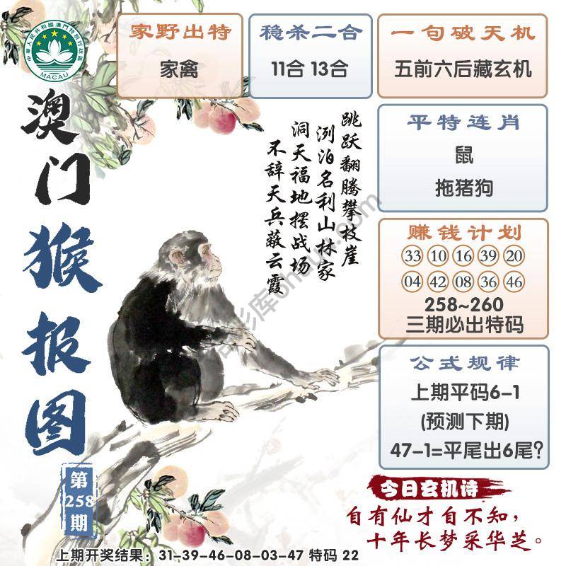 澳门猴报图