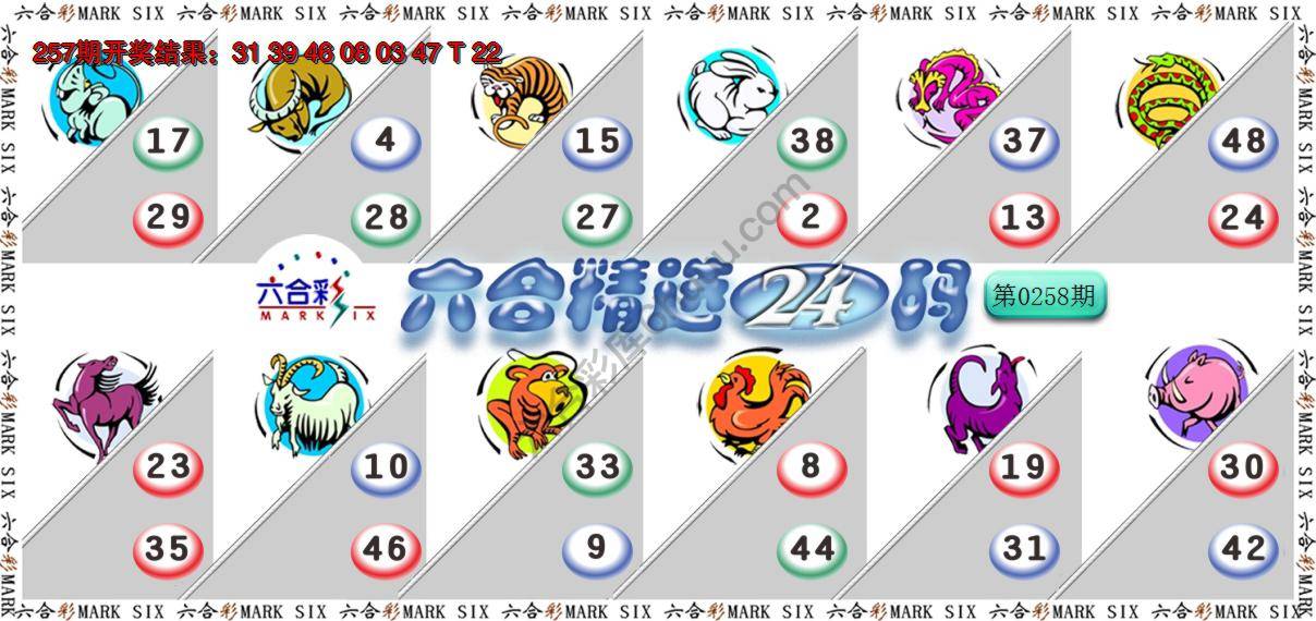 六合精选24码