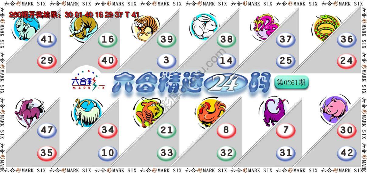 六合精选24码
