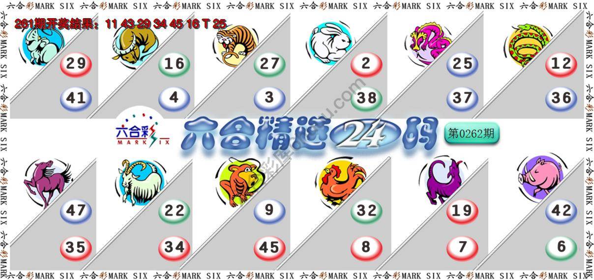 六合精选24码