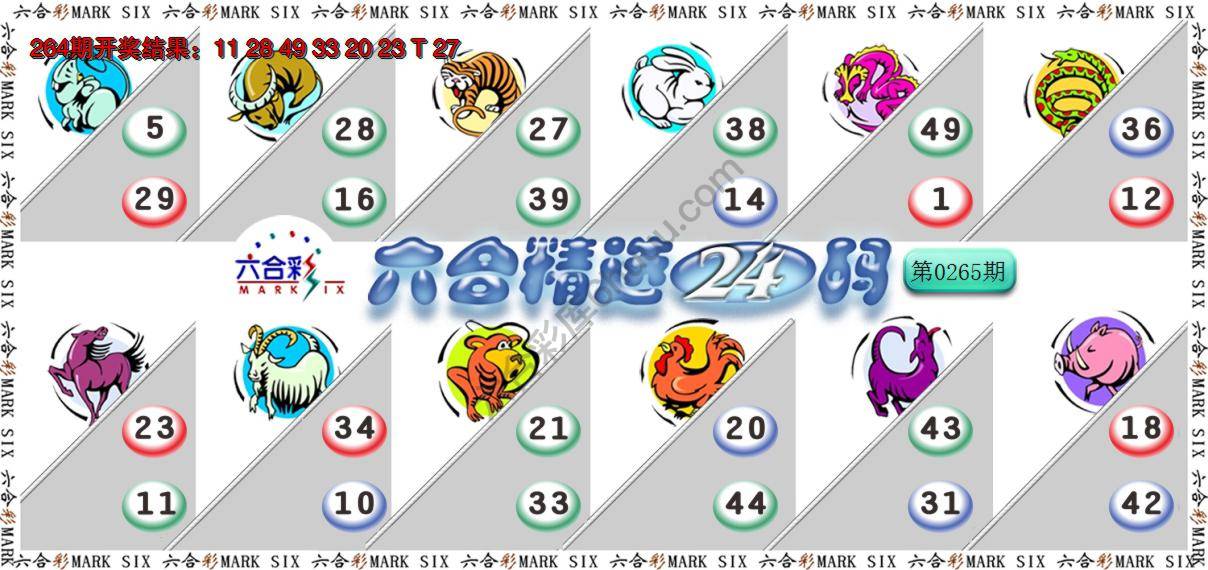 六合精选24码