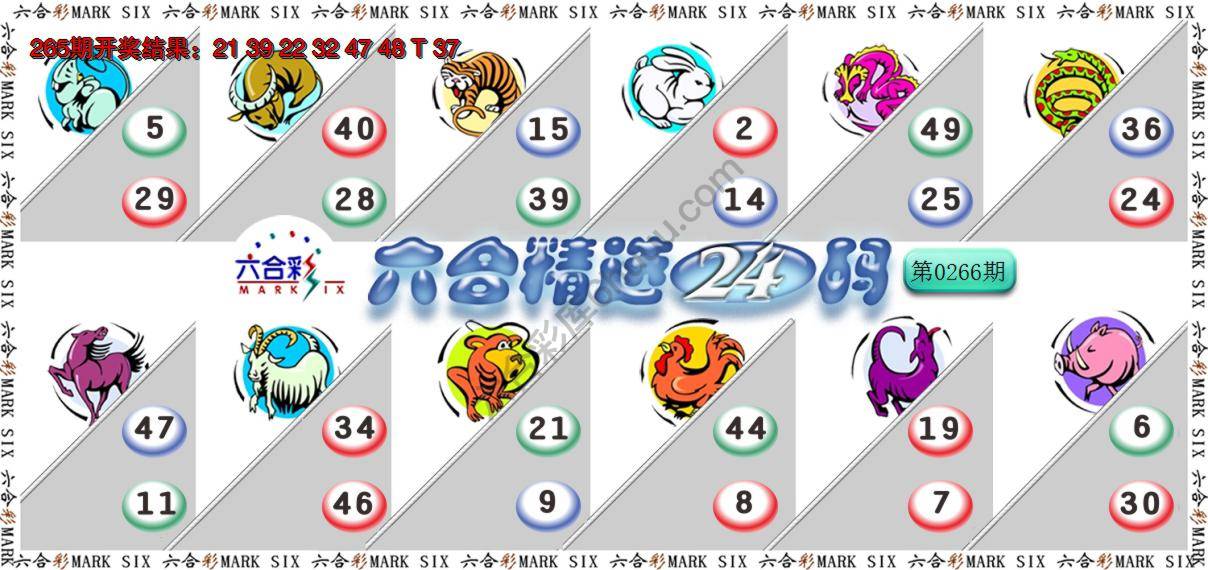 六合精选24码