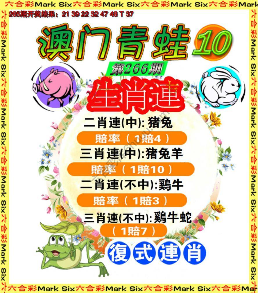 青蛙系列10