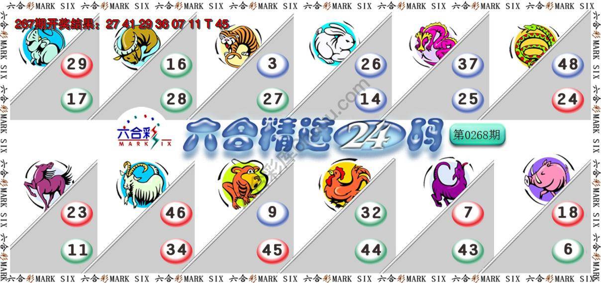 六合精选24码