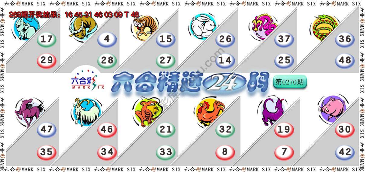 六合精选24码