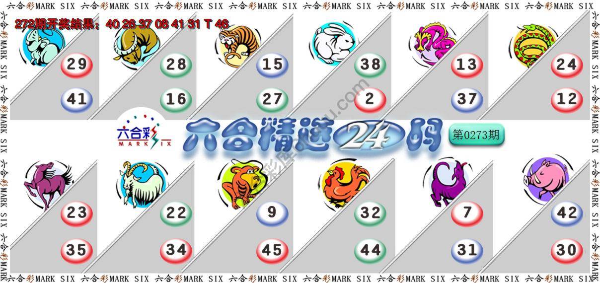 六合精选24码