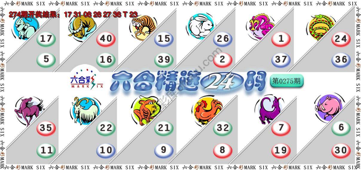 六合精选24码
