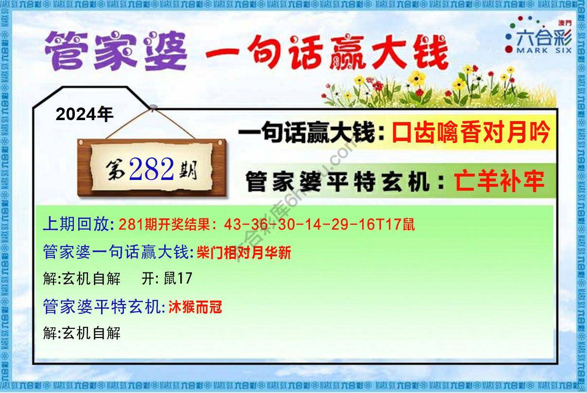 管家婆一句赢大钱