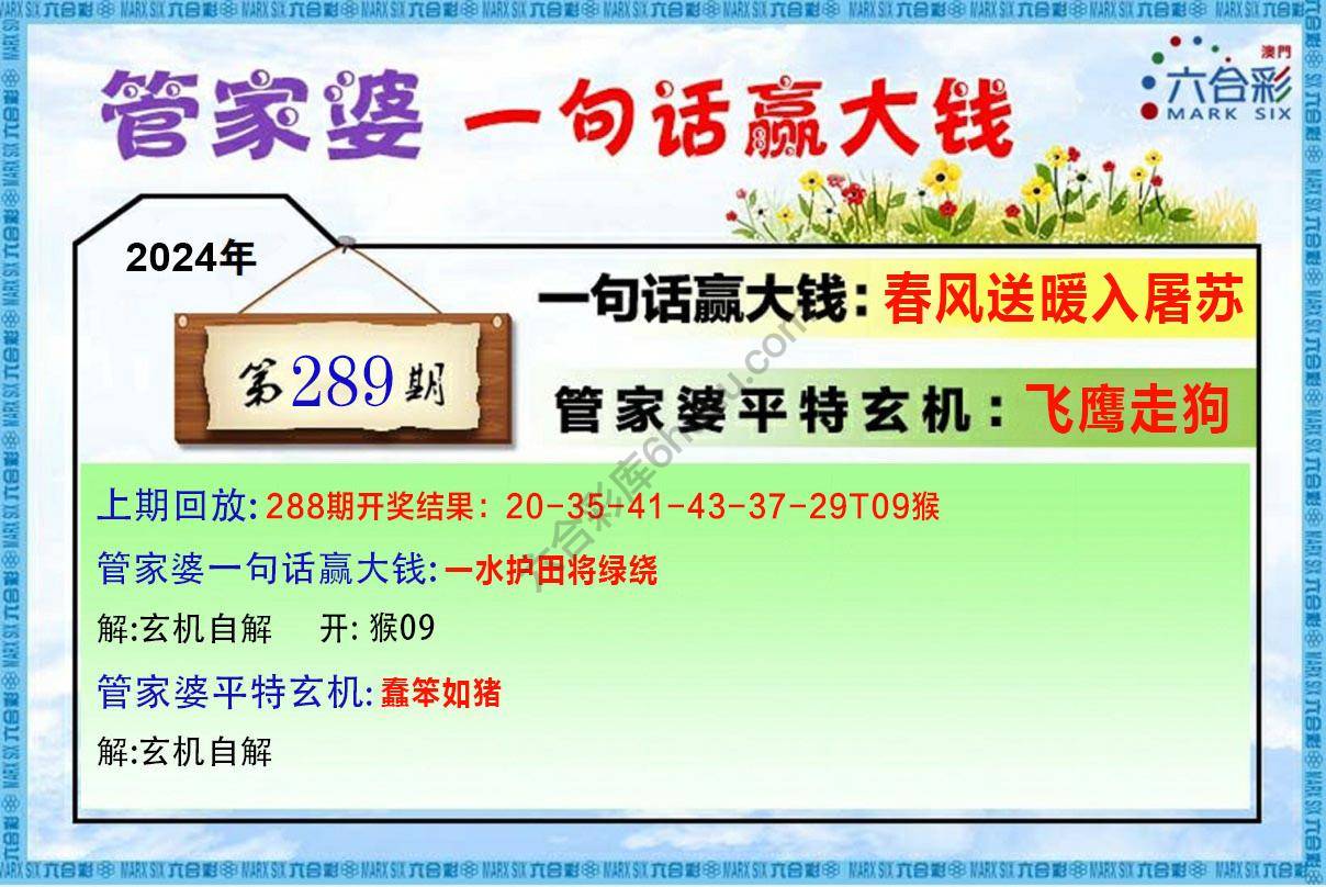 管家婆一句赢大钱