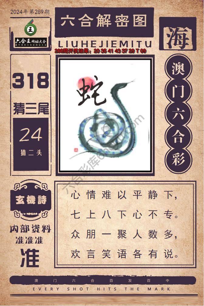 六合王六合解密