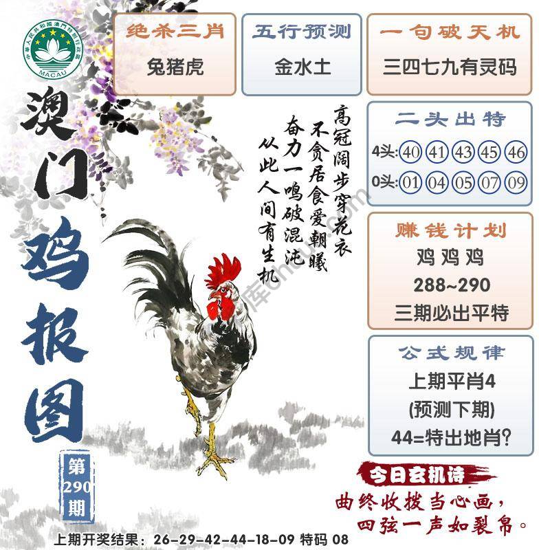 澳门鸡报图