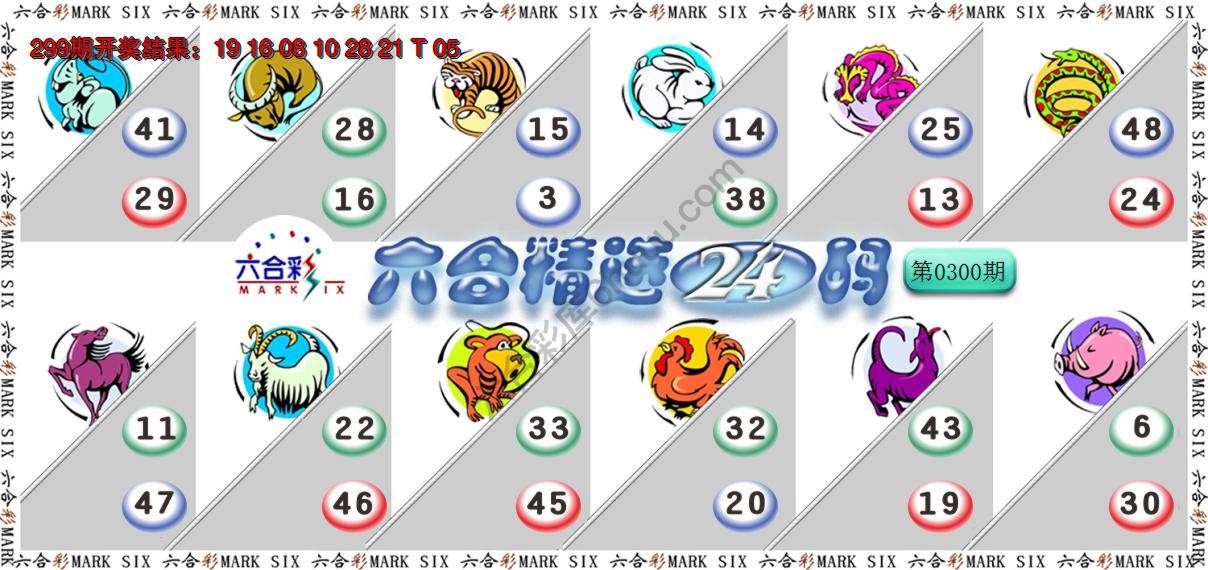 六合精选24码