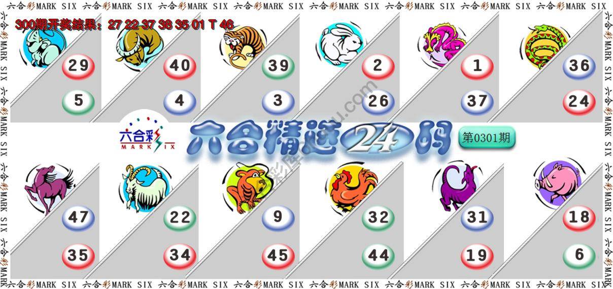 六合精选24码