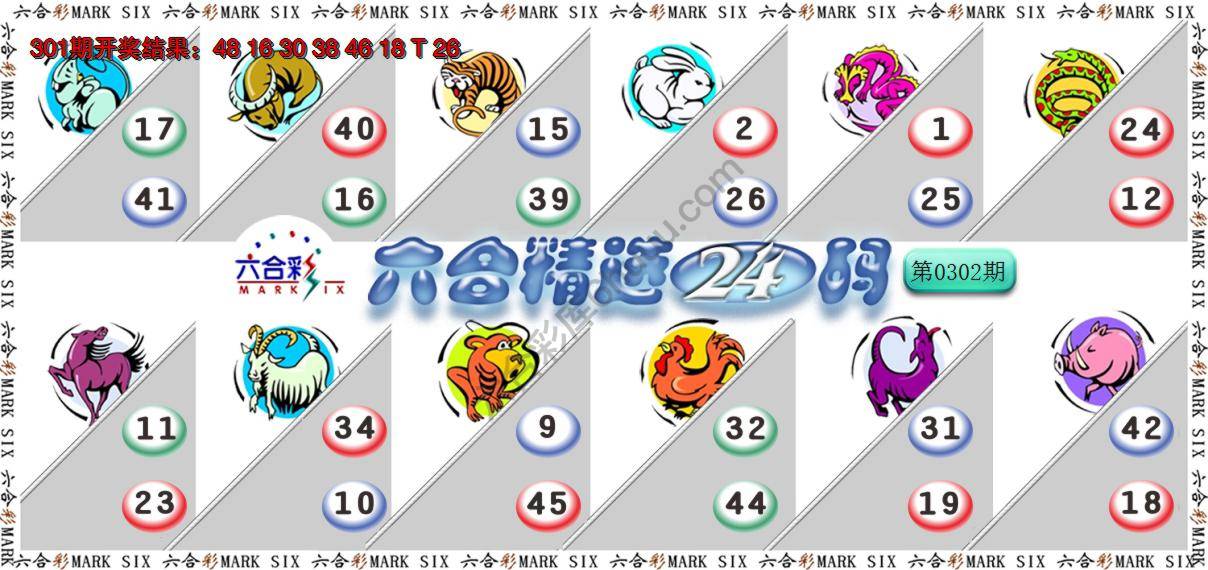 六合精选24码