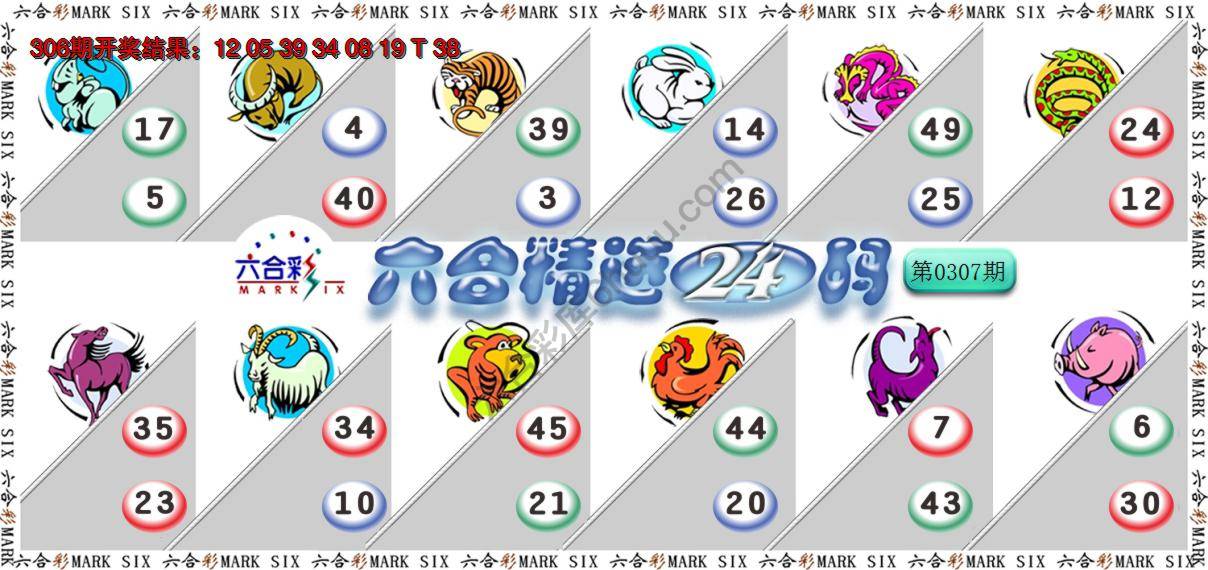 六合精选24码