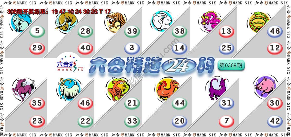 六合精选24码