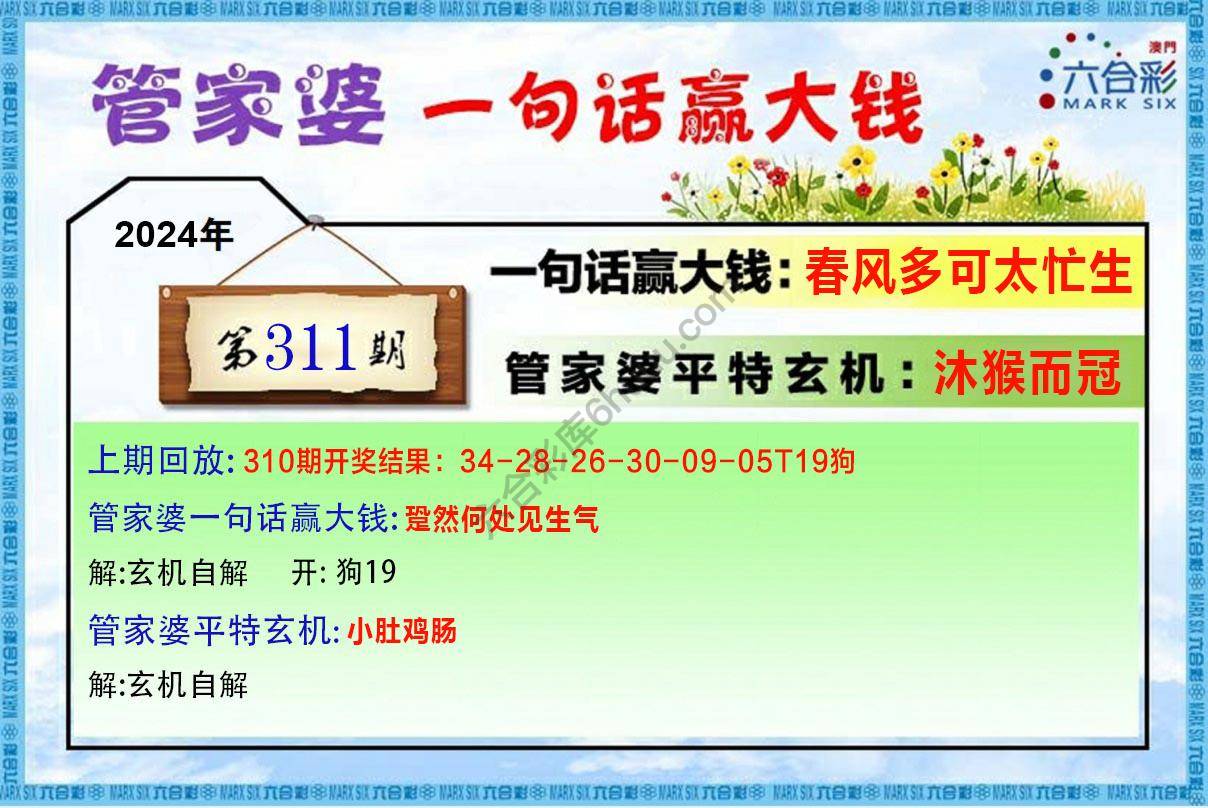 管家婆一句赢大钱