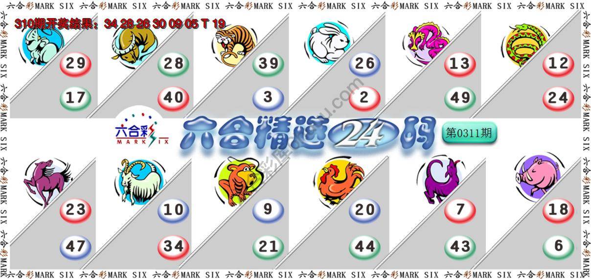 六合精选24码